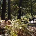 Quinta Leiras - Rubiaes Paredes de Coura