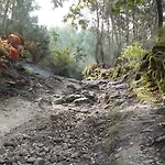 Pensjonat Quinta Leiras - Rubiaes Paredes de Coura