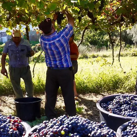 Quinta Leiras - Rubiães Paredes de Coura