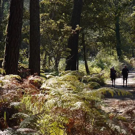 Quinta Leiras - Rubiães Paredes de Coura