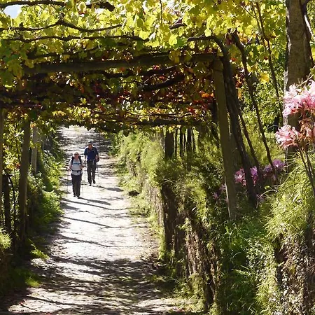 Gasthof Quinta Leiras - Rubiães *