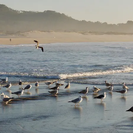 Quinta Leiras - Rubiães Gasthof Paredes de Coura