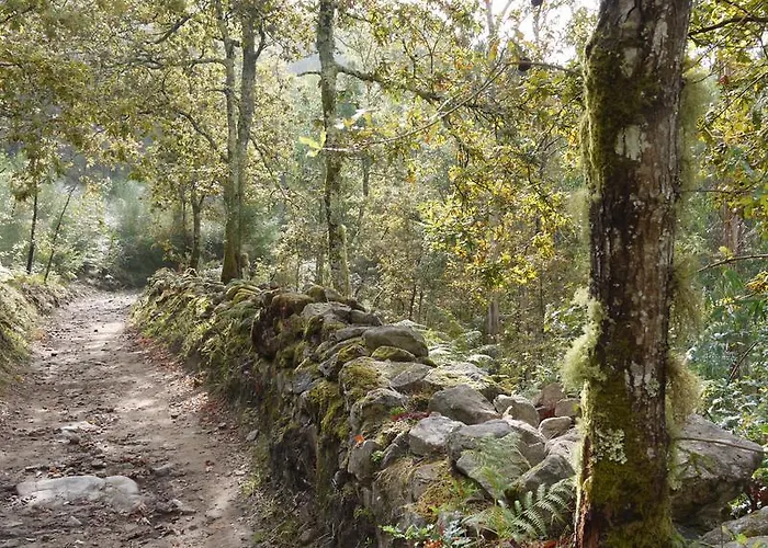 Pensjonat Quinta Leiras - Rubiaes Paredes de Coura