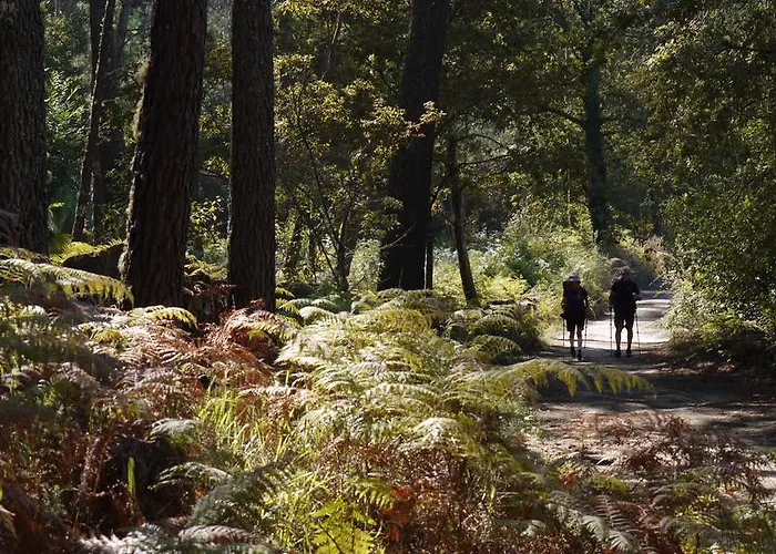 Quinta Leiras - Rubiaes Paredes de Coura
