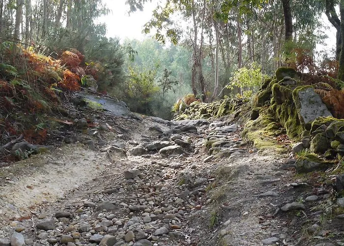 Gæstehus Quinta Leiras - Rubiaes Paredes de Coura