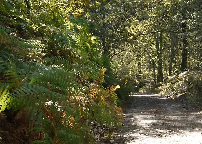 Quinta Leiras - Rubiaes