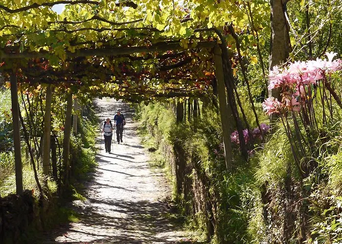 Gæstehus Quinta Leiras - Rubiaes *