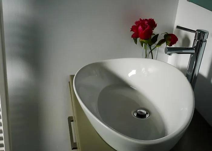 Pensjonat Quinta Leiras - Rubiaes